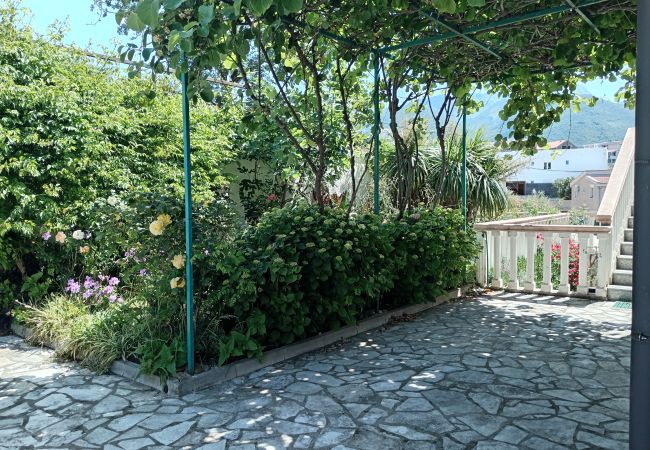 Apartment in Šušanj - Villa Delfin 1 - Deluxe Apartment in Šušanj