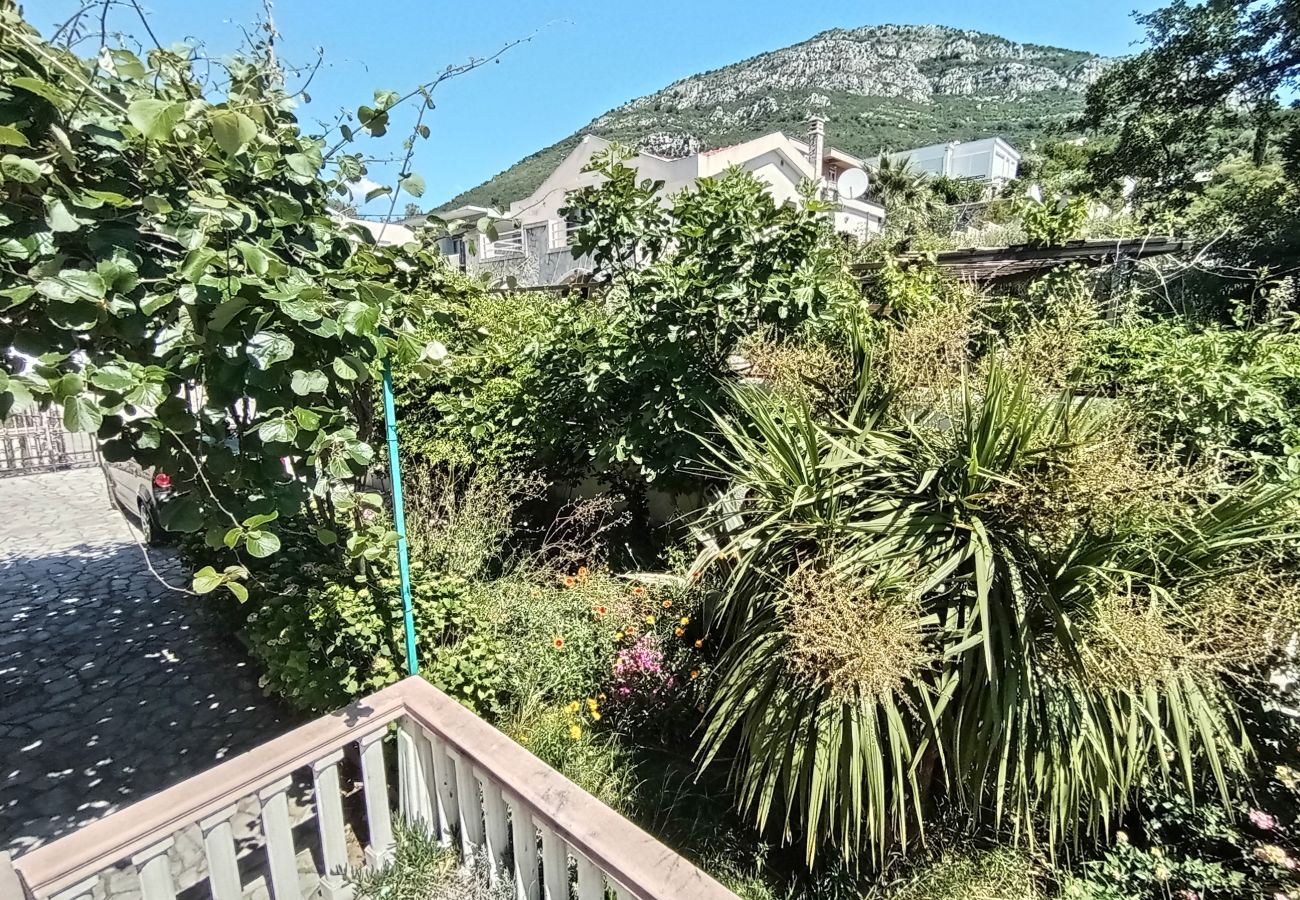 Apartment in Šušanj - Villa Delfin 1 -2-3-4  Apartments in Šušanj